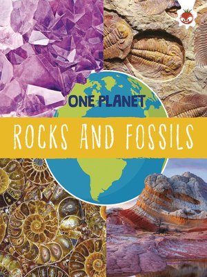 cover image of Rocks and Fossils